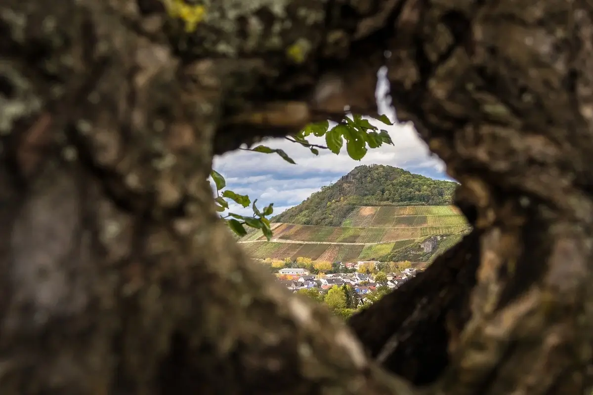 Landschaft von Ahrtal
