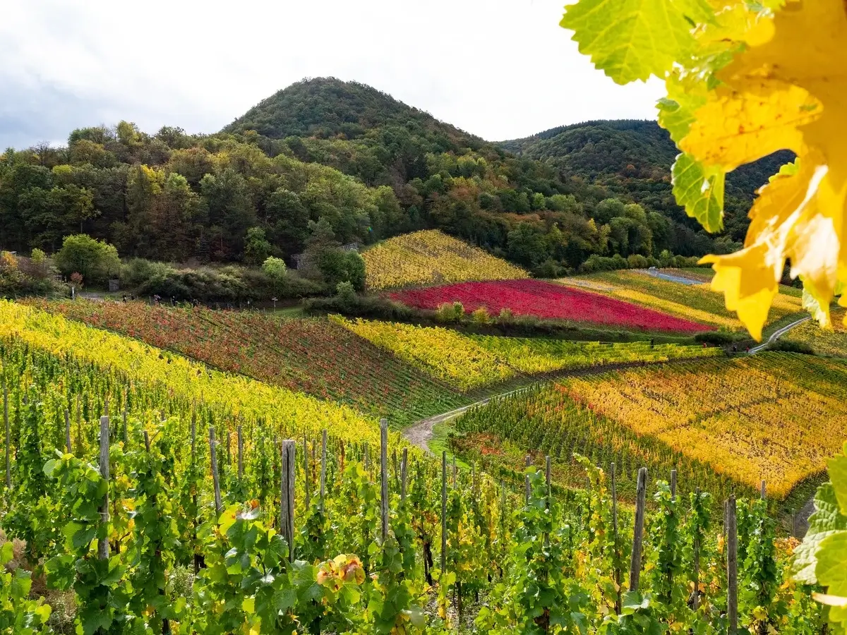 Natur von Ahrtal