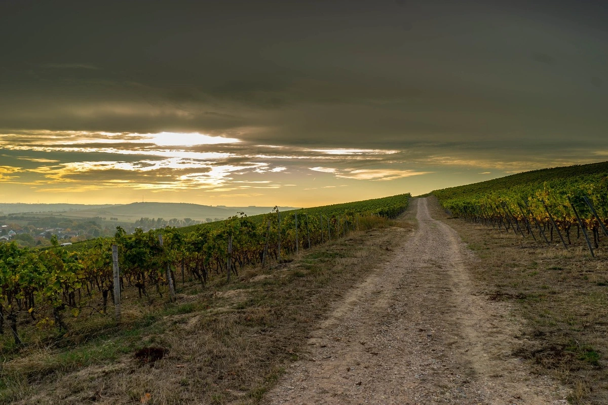 Sonnenuntergang im Ahrtal