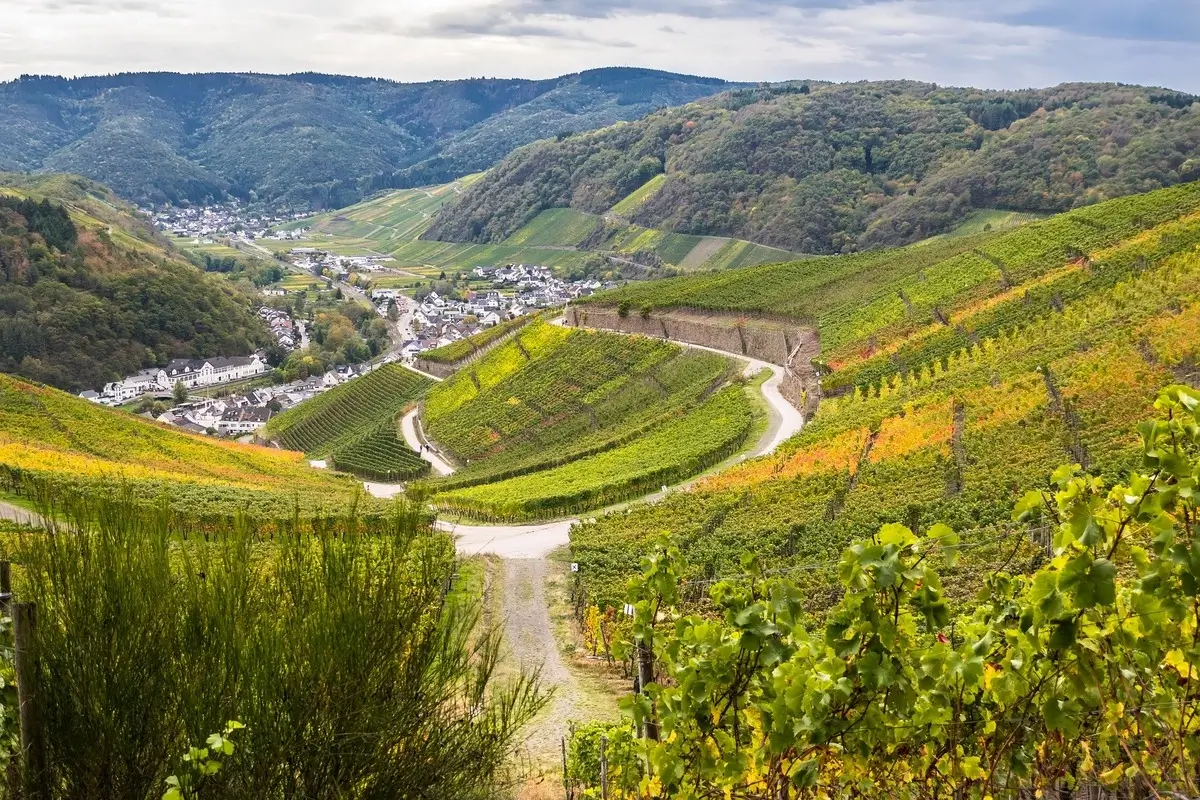 Natur von Ahrtal